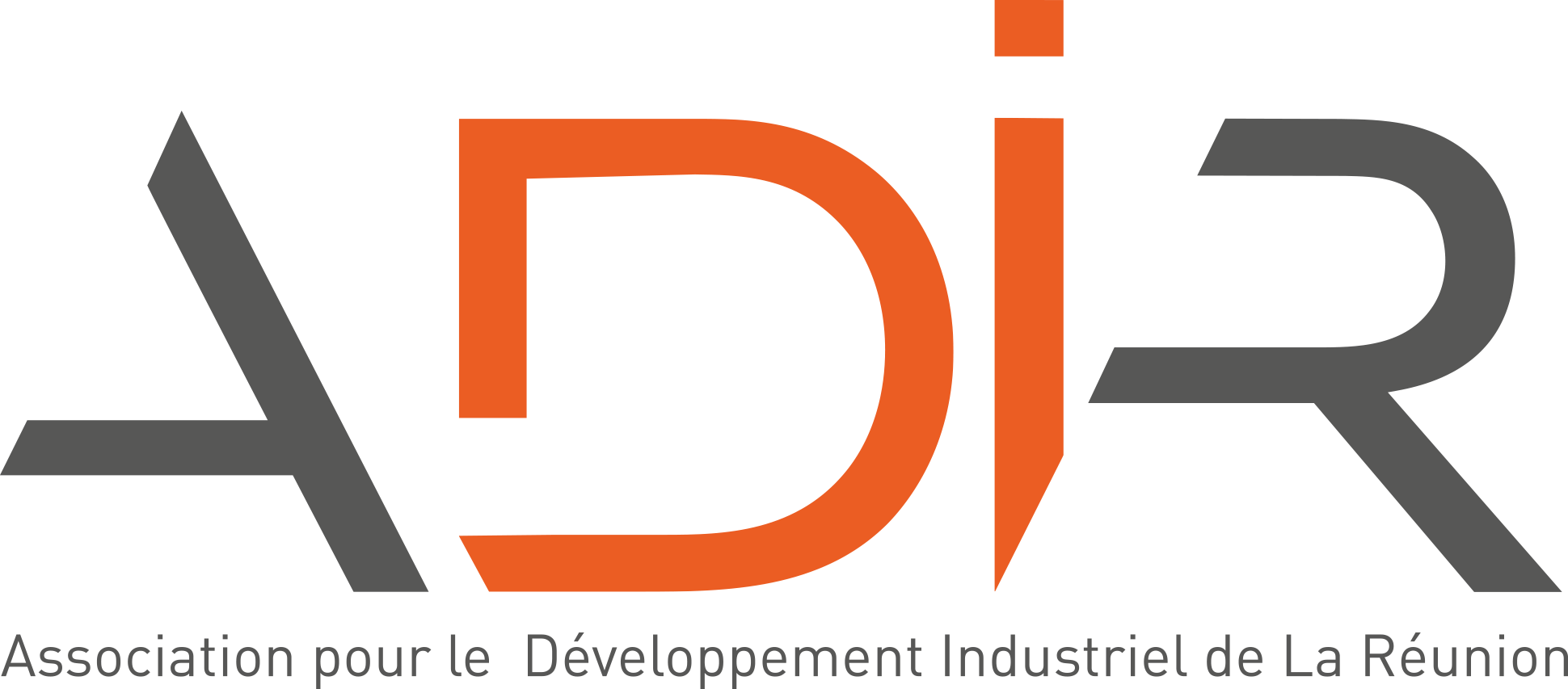 Logo ADIR
